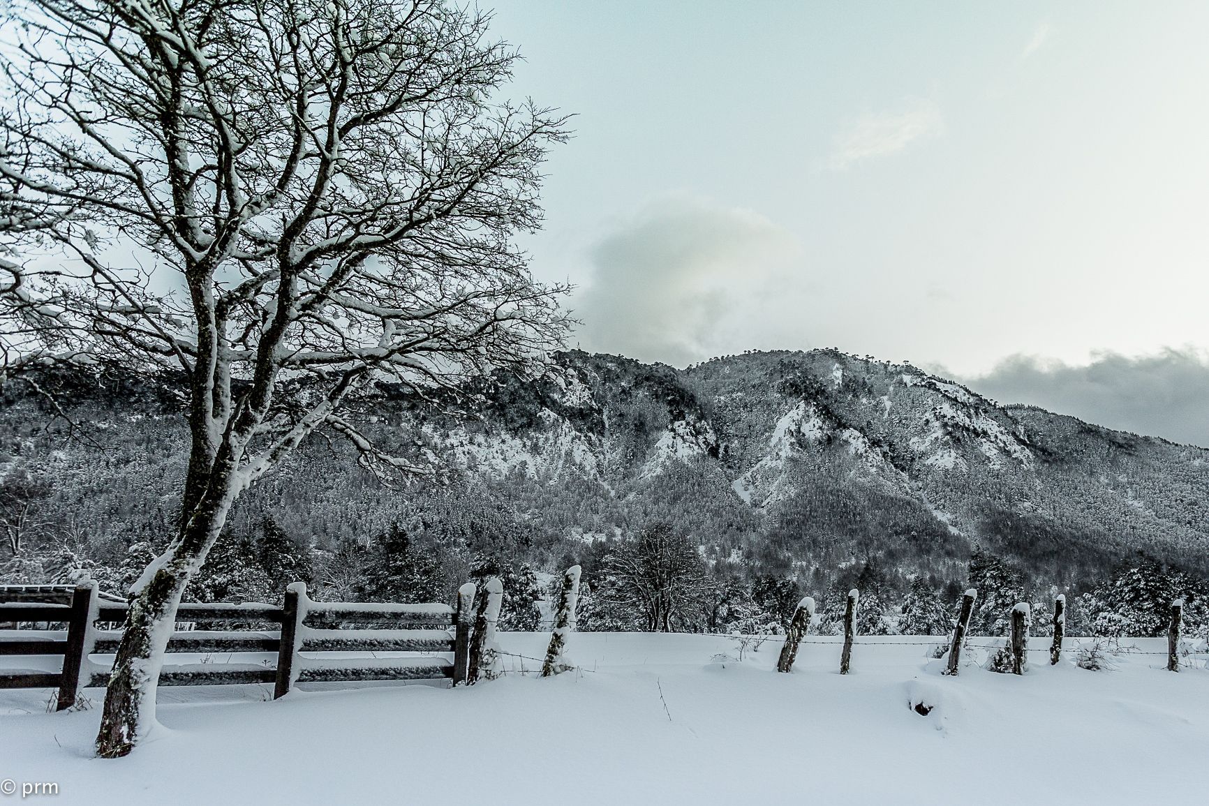 A snow-covered landscape with a wooden fence and a barren tree in the foreground.