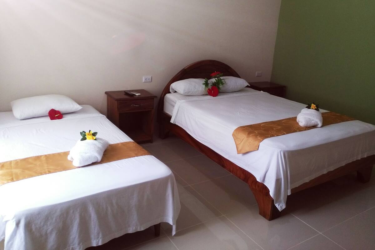 A hotel room with two single beds, each with a white bedspread and a brown headboard. There are decorative pillows and a small table with a remote control.