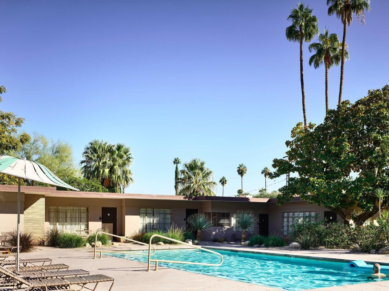 A pool area with lounge chairs, a building with a flat roof, and palm trees.