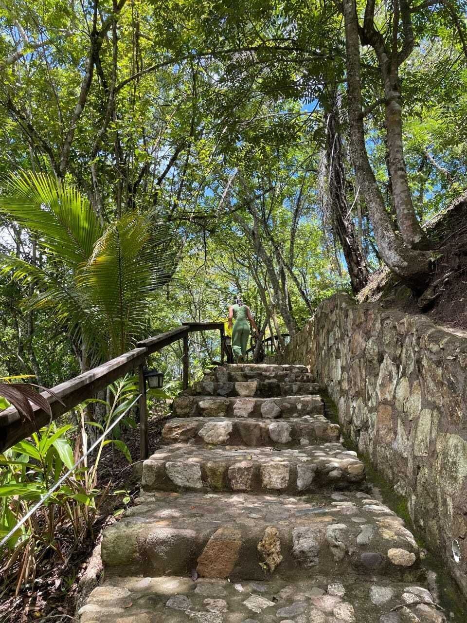 Eine steinerne Treppe, umgeben von üppigem Grün und Bäumen.