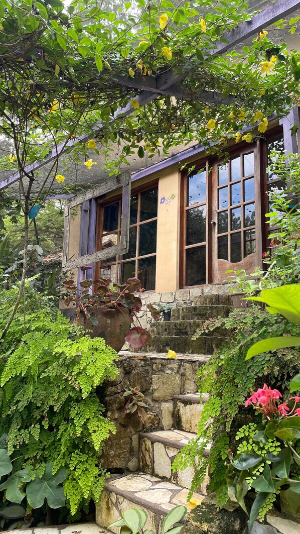 蠻荒體驗