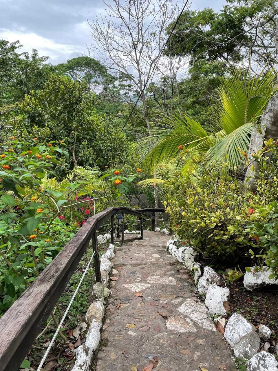 Un sendero de piedra con baranda de madera, rodeado de abundante vegetación y plantas en flor.