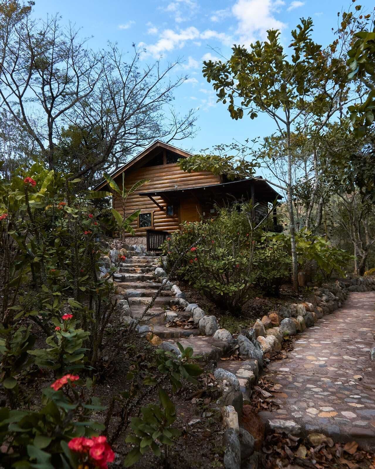 Una cabaña de madera con un sendero de piedra que lleva a ella, rodeada de follaje y árboles.