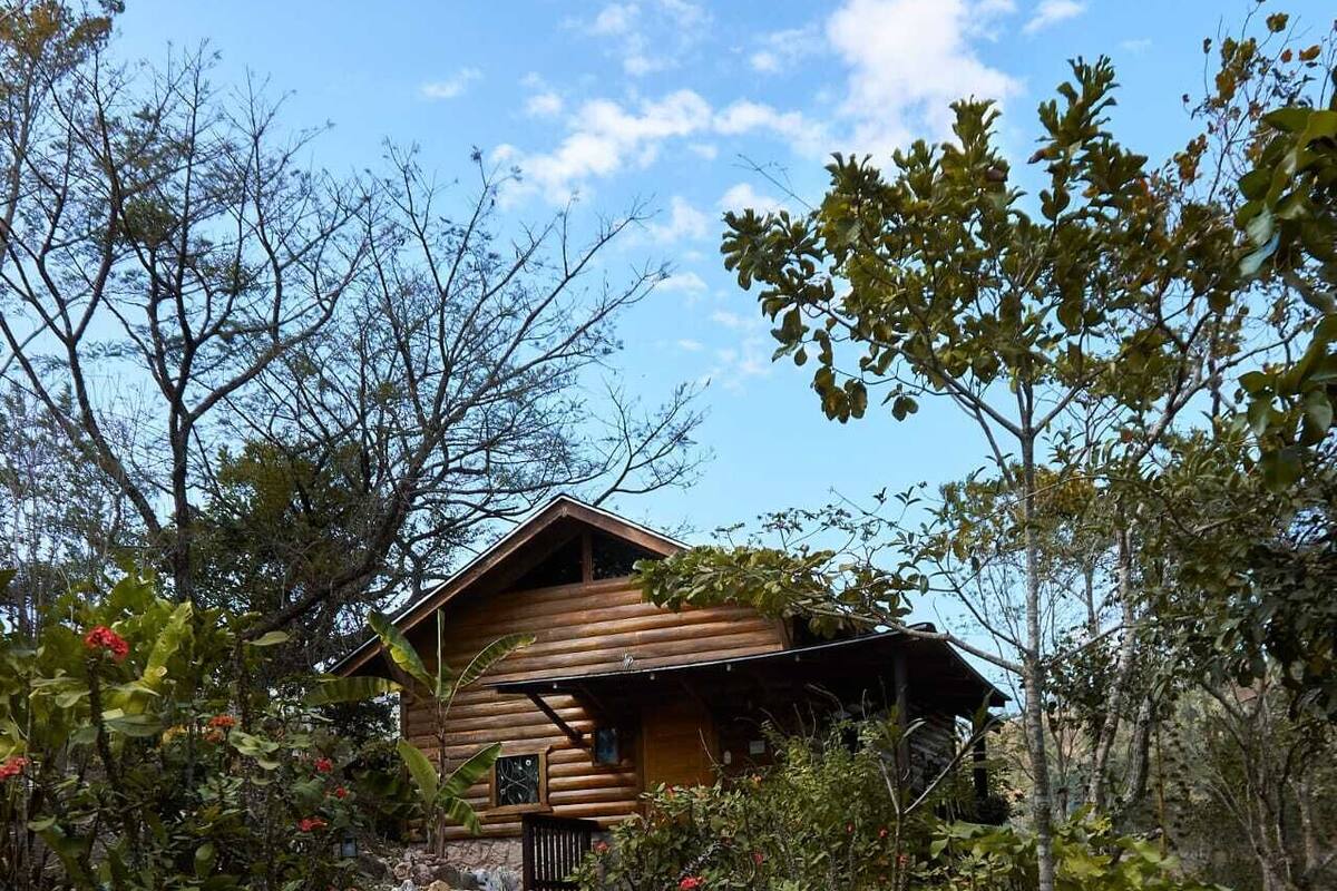 Family Cabin, Kitchenette, Mountain View | Down comforters, WiFi (free), bed sheets
