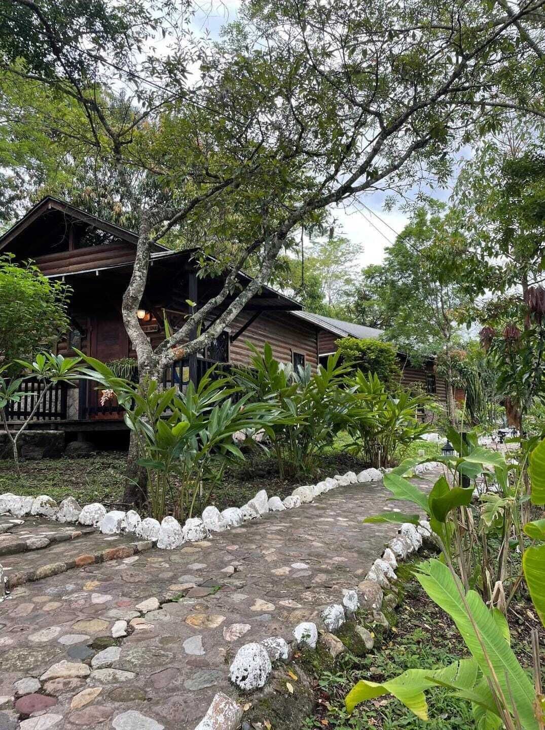 A rustic wooden cabin surrounded by lush greenery and a stone pathway.