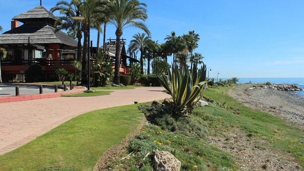 A beachfront property with a paved walkway, palm trees, and a building with a thatched roof.