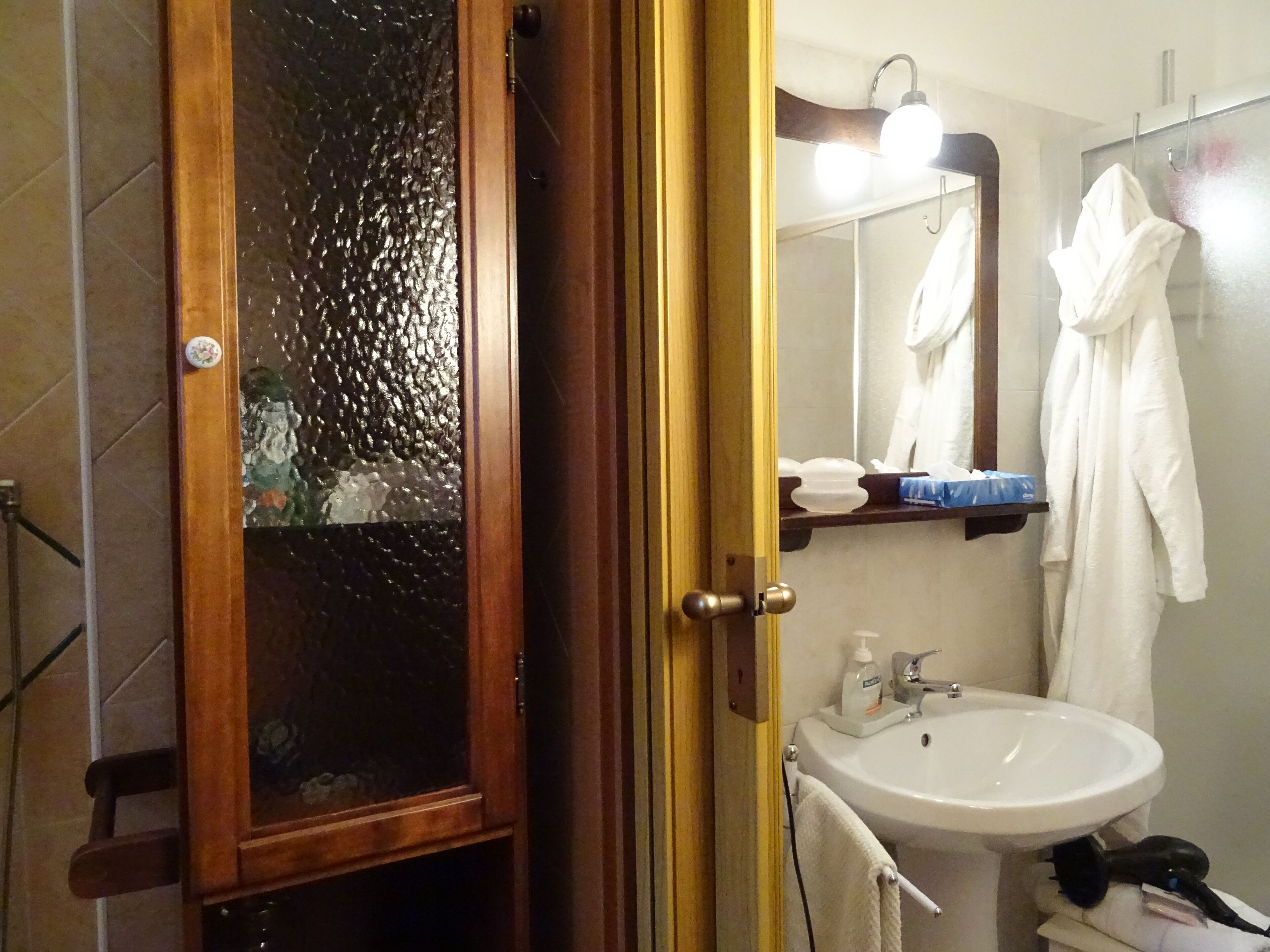 Shower, hair dryer, bathrobes, bidet