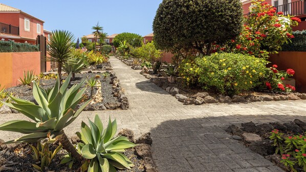 A paved pathway flanked by various plants and a small tree, leading to a building with a red facade. - COSTA GOLF by myhomeinfuerteventura |Sunny Poolside Apartment with Large Terrace (Caleta de Fuste)