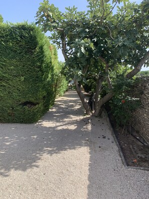 Parco della struttura