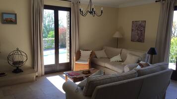 TV connectée, cheminée, lecteur de DVD, livres