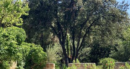 Bastide de caractÚre avec grande piscine Chauffée entourée d Oliviers et de Pins