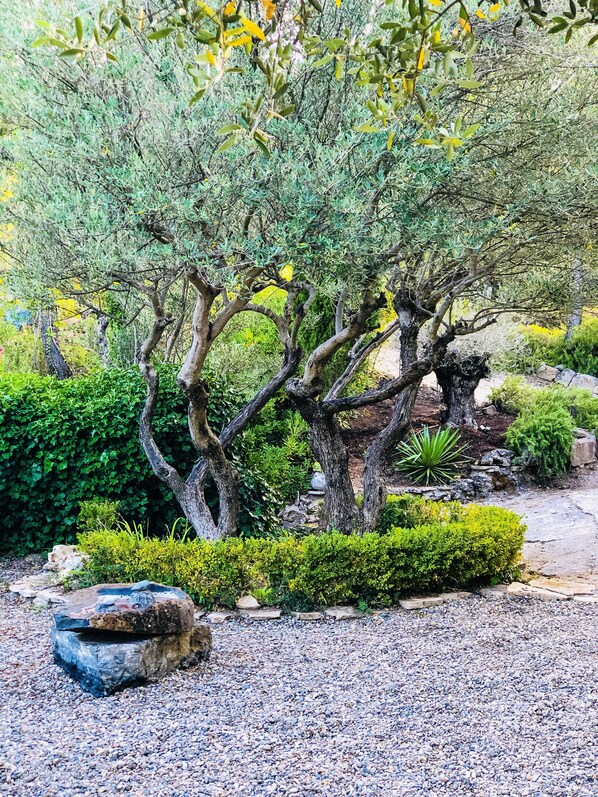 Jardines del alojamiento