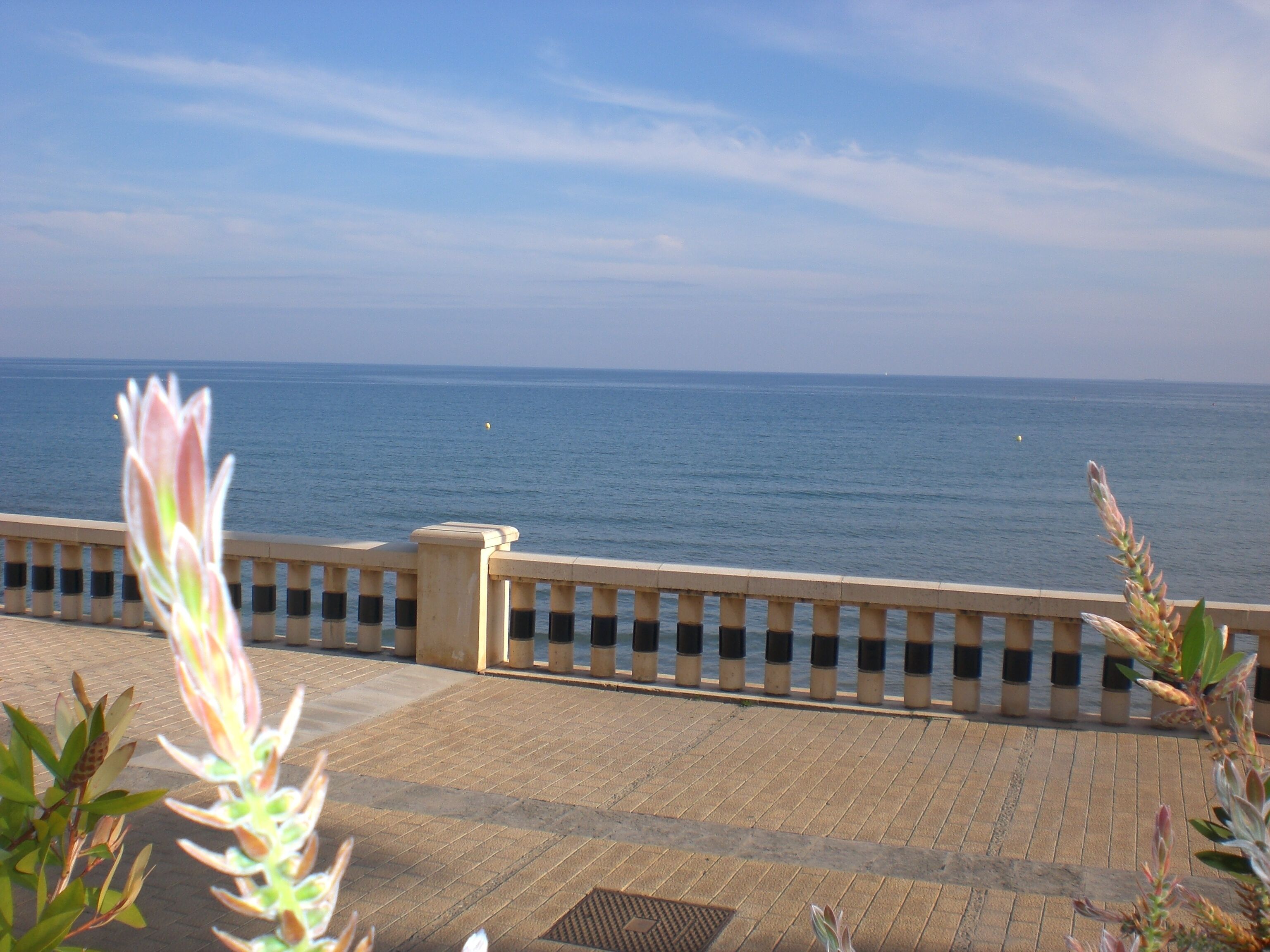 A coastal walkway with a railing, leading to the sea.