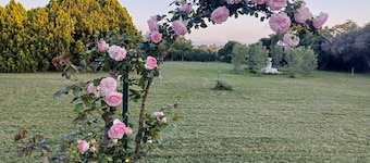 Incantevole villa con parco, tra gli olivi, relax in Maremma