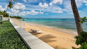 Une plage avec une promenade en béton, des chaises longues et un palmier.