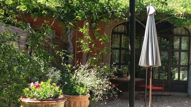 A garden with large potted plants and a pergola with an umbrella. - Shed renovated with charm, swimming pool and bucolic garden at the foot of the Luberon (Cheval-Blanc)