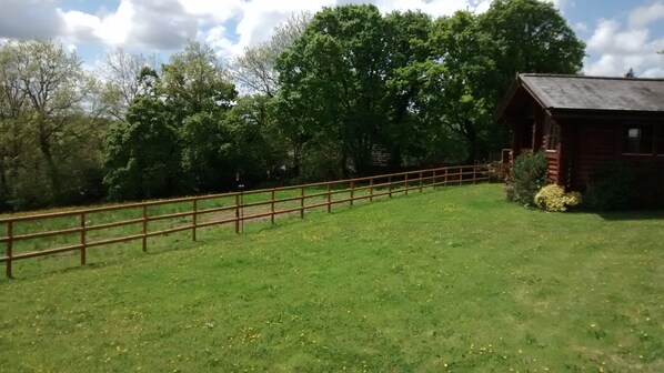 A grassy field with a wooden fence and a small wooden cabin. - High quality lodge, well placed for exploring all corners of Devon & Cornwall (Highampton)