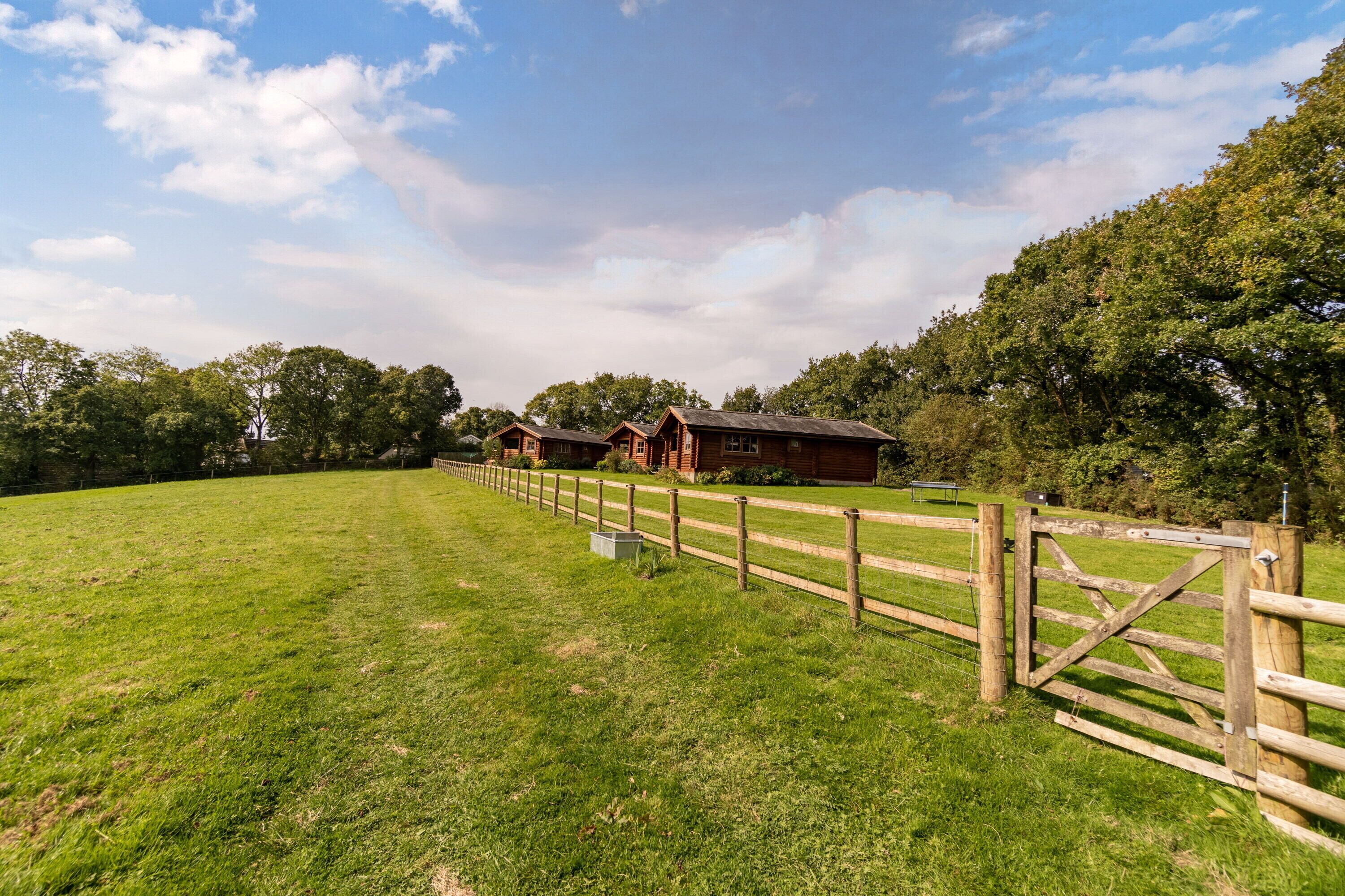 New fencing in paddock opposite, Brambles is the nearest lodge