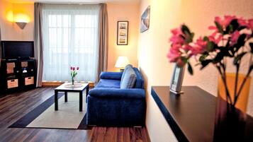 TV, DVD player, books, video library