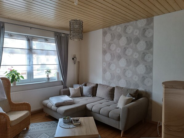 TV, fireplace, DVD player, books