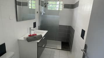 Bathtub, hair dryer, towels, soap