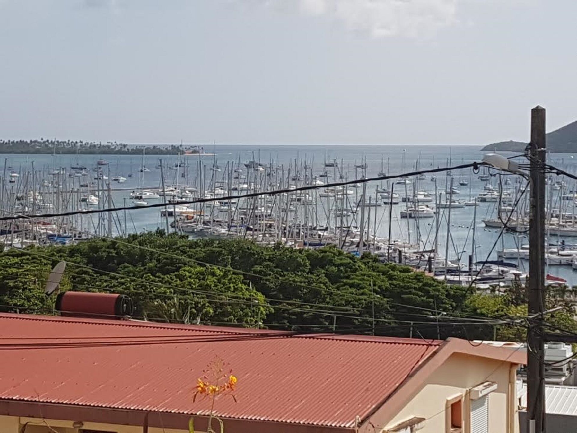 Un puerto deportivo con numerosas embarcaciones amarradas, rodeado de vegetación y edificios.