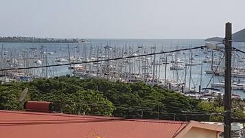 Un puerto deportivo con numerosas embarcaciones amarradas, rodeado de vegetación y edificios.