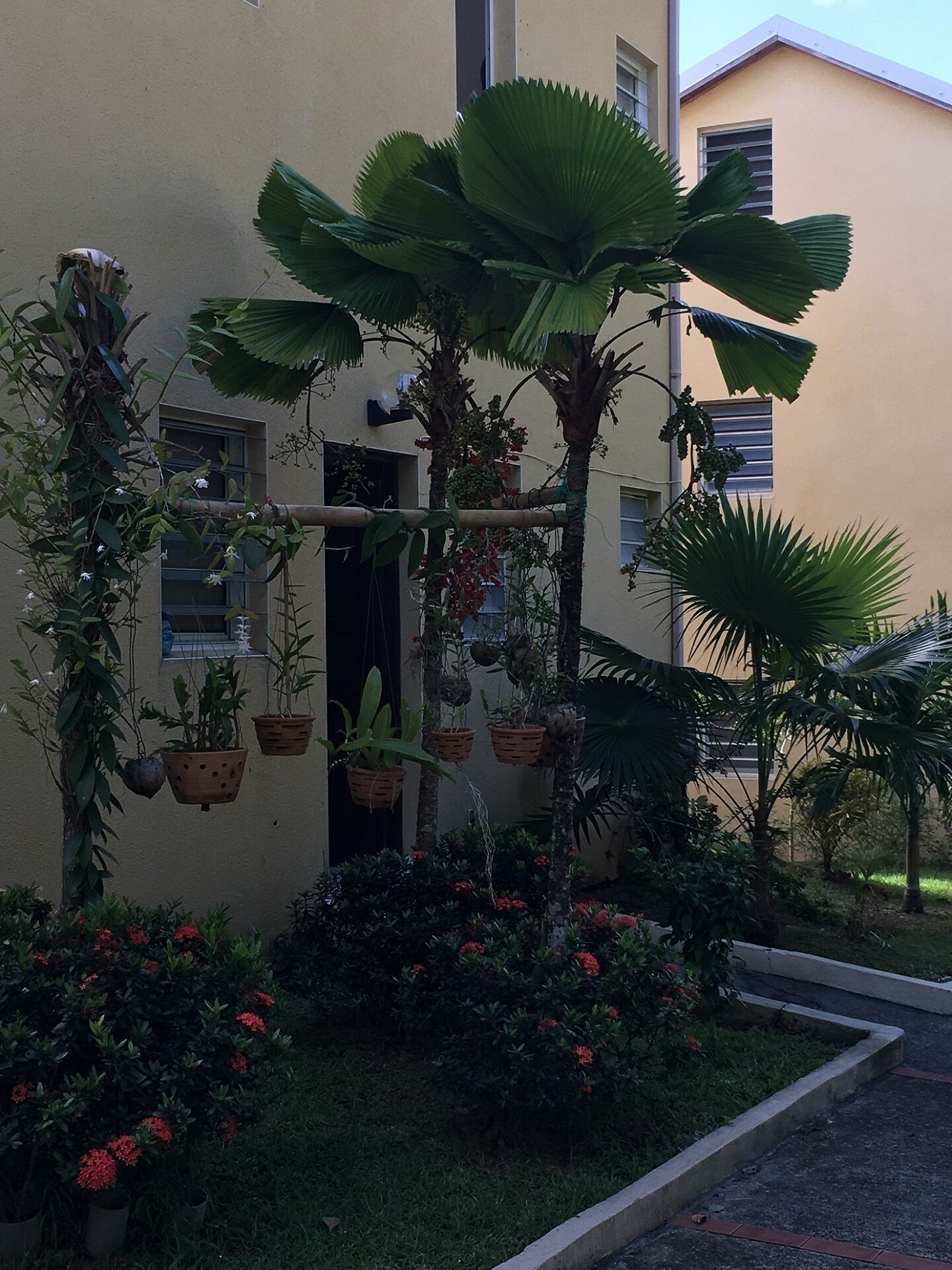 A building with a garden area featuring potted plants and flowers.