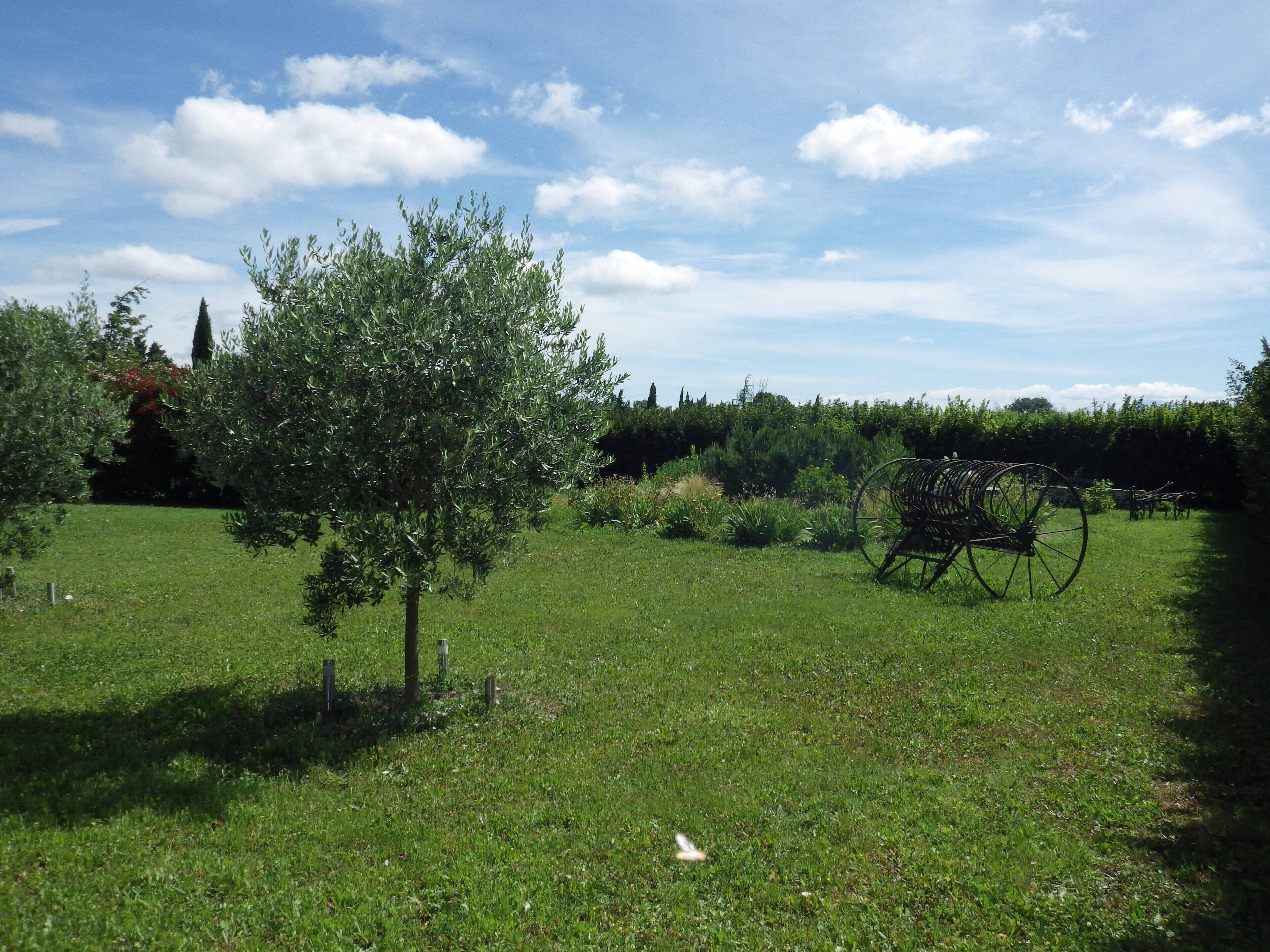 A grassy field with a tree and a large metal wheel structure.