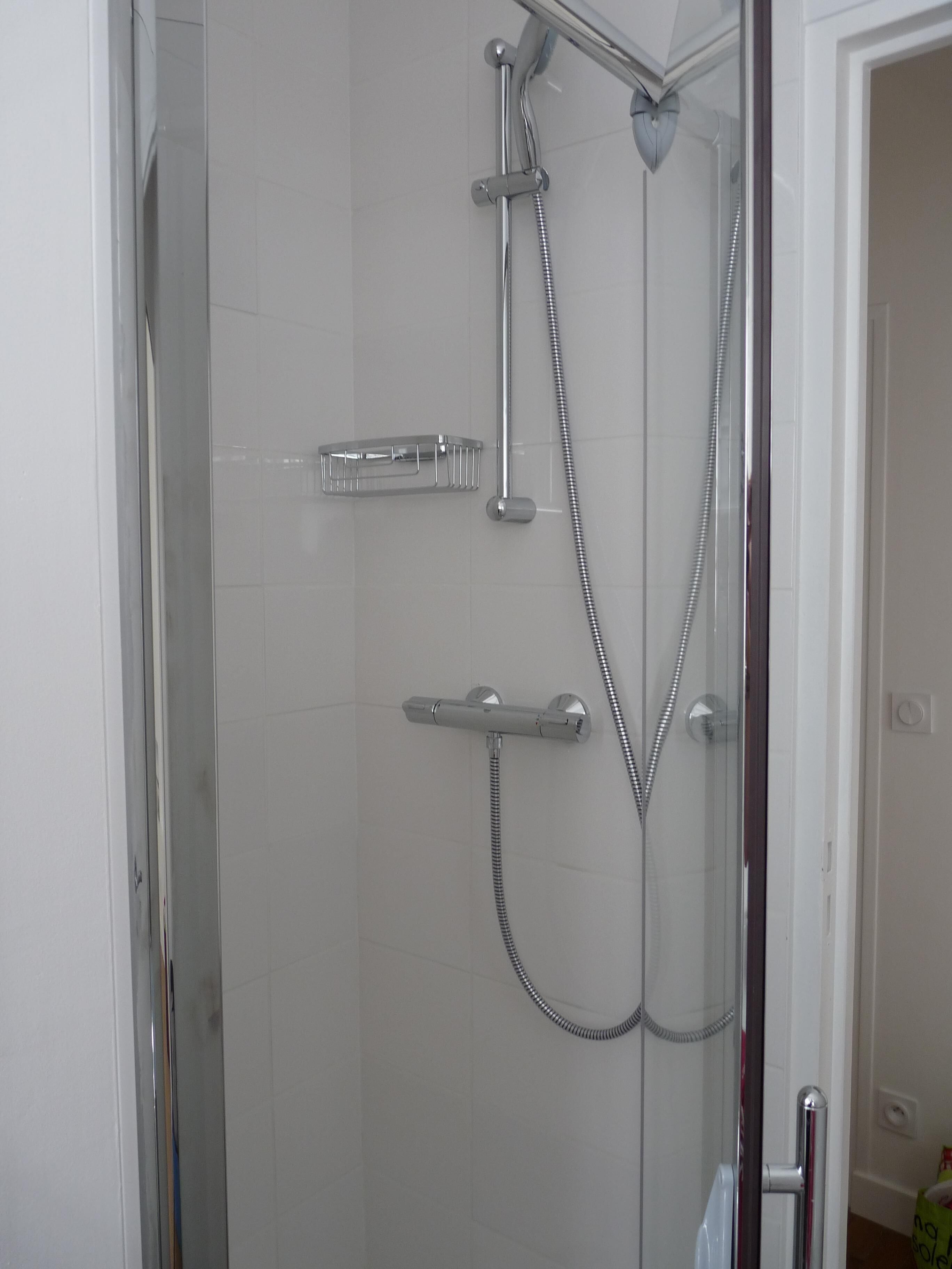 Shower, hair dryer, towels, toilet paper