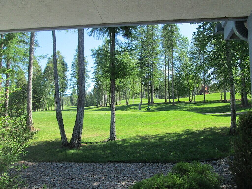 A view of a golf course with a clear sky, surrounded by tall trees and a well-maintained lawn.
