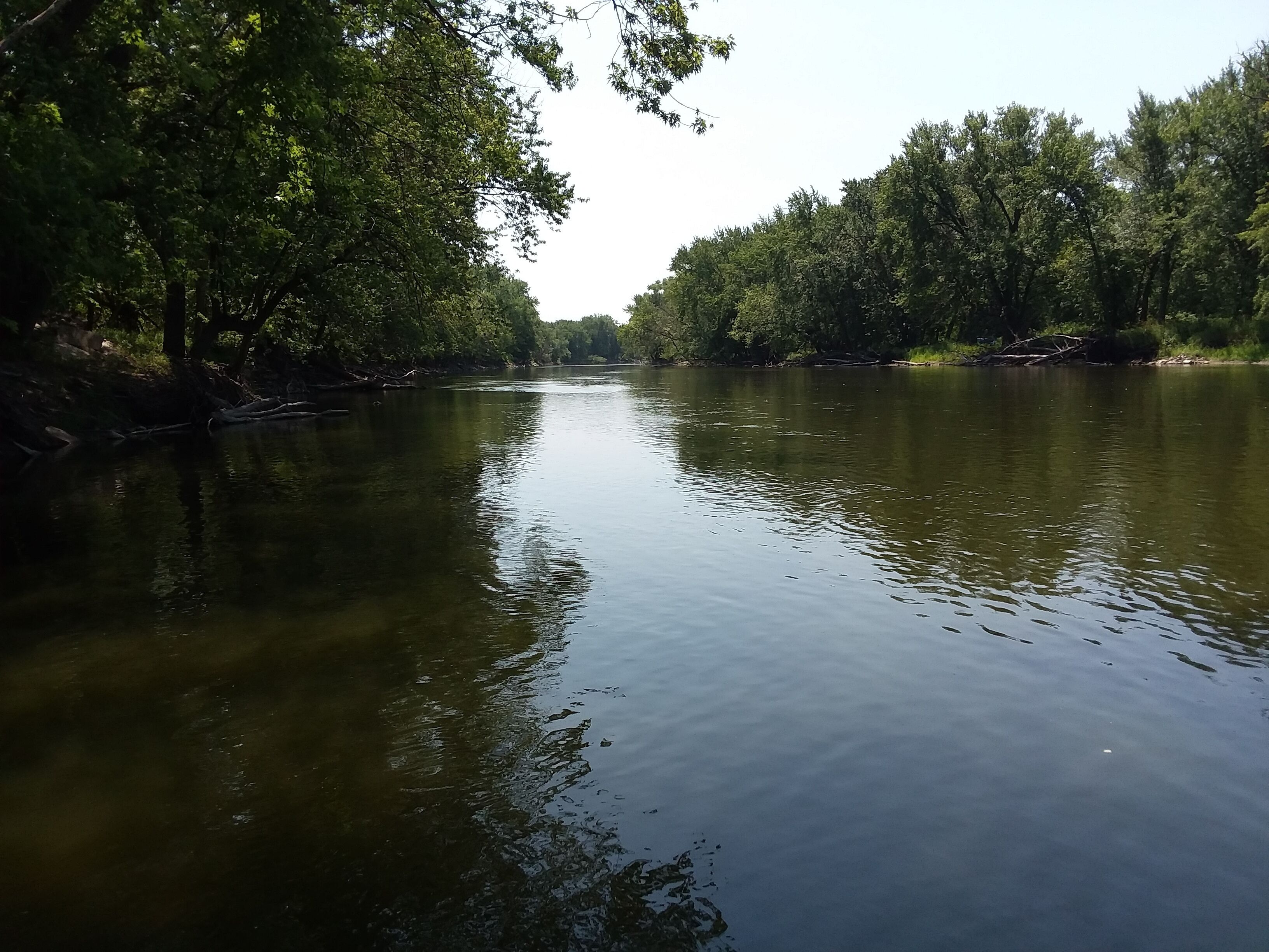 Un río rodeado de abundante vegetación.