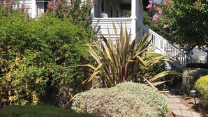 A house with a porch, surrounded by various plants and shrubs.