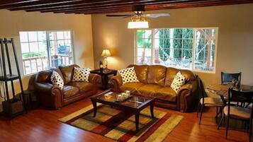 Télévision, cheminée, lecteur de DVD, baby-foot