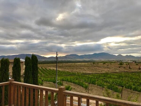 Property grounds - Shantal's Home In the heart of Baja's Winery Route (Ensenada)
