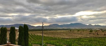 Shantal's Home I hjertet av Baja's Winery Route