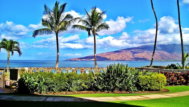 A private pool area with palm trees and a view of the ocean. - Gorgeous Oceanfront Condo Steps From The Beach, Air Conditioned, Free Wi-Fi (Kihei)