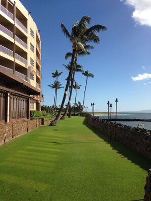 Terrain de l’hébergement 