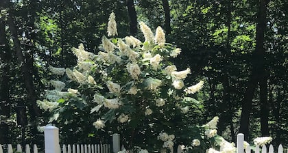 The Blue Cottage Rental - The Perfect Lookout Mountain Getaway