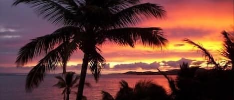 Plage, chaises longues, serviettes de plage