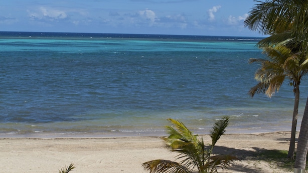 A beach with three blue lounge chairs, a small table, and palm trees.