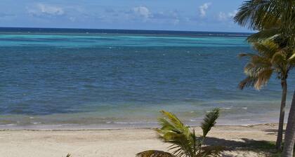 Stunningly Beautiful - Theatre on the Beach