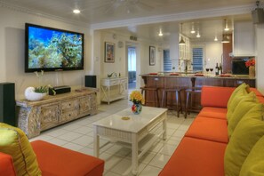 Smart TV, DVD player, books, music library