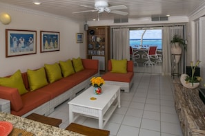 Smart TV, DVD player, books, music library