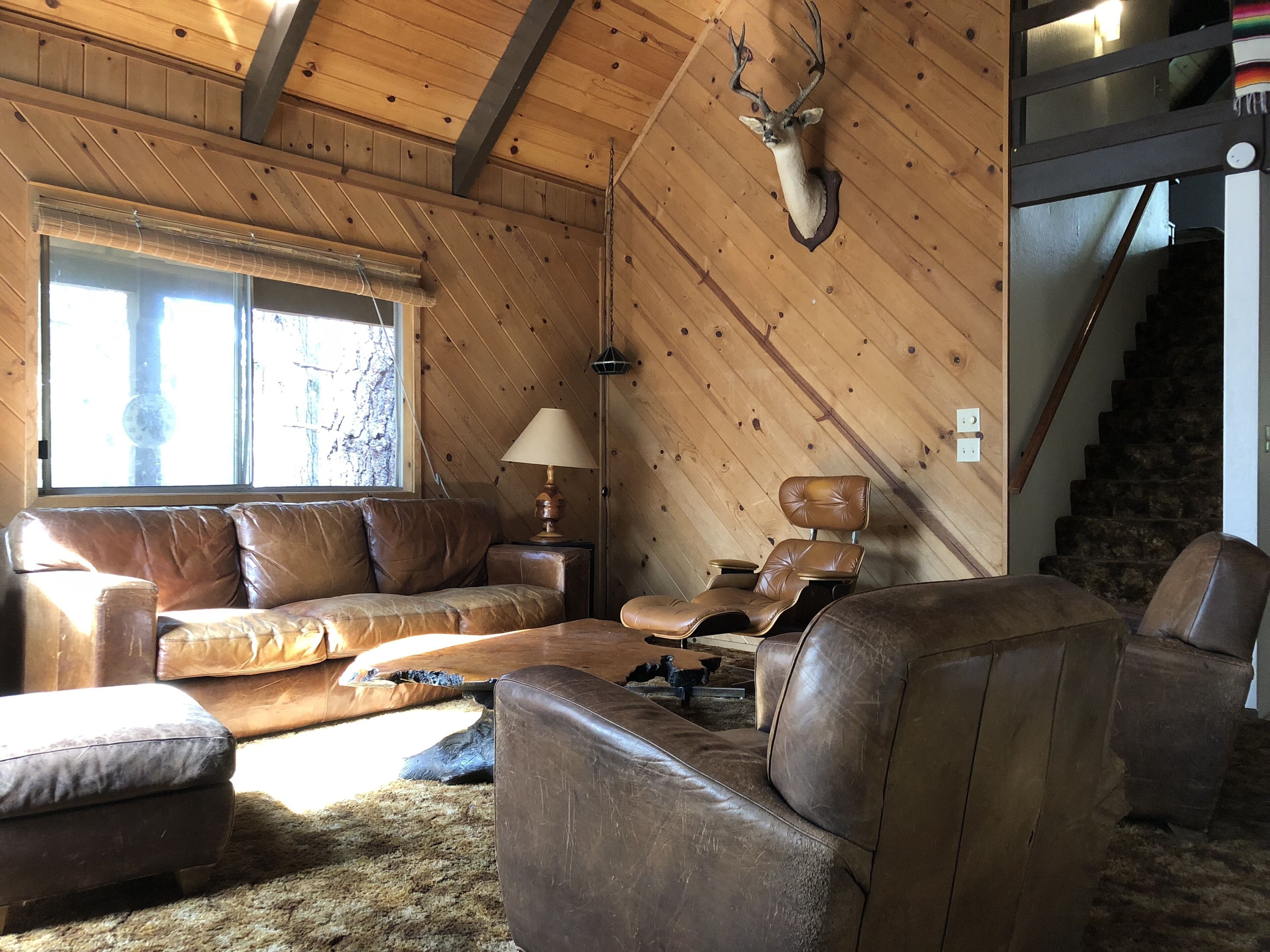 Télévision, cheminée, Netflix, lecteur de DVD