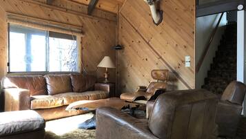 TV, fireplace, Netflix, DVD player