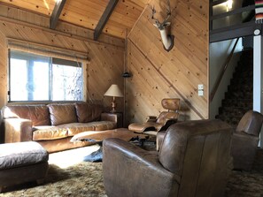 TV, fireplace, Netflix, DVD player