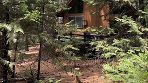 Una baita circondata da un bosco fitto, con alberi alti e facciata in legno.