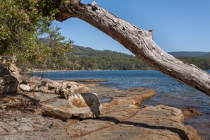 Beach nearby - Bay Retreat Port Arthur (Port Arthur)