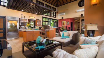 Smart TV, fireplace, books, video library